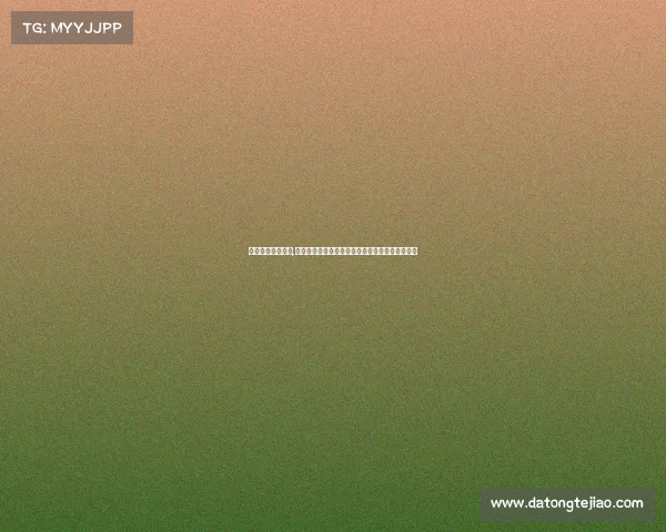 各项赛事进展情况,国内外各项赛事最新进展动态实时追踪与深度解析